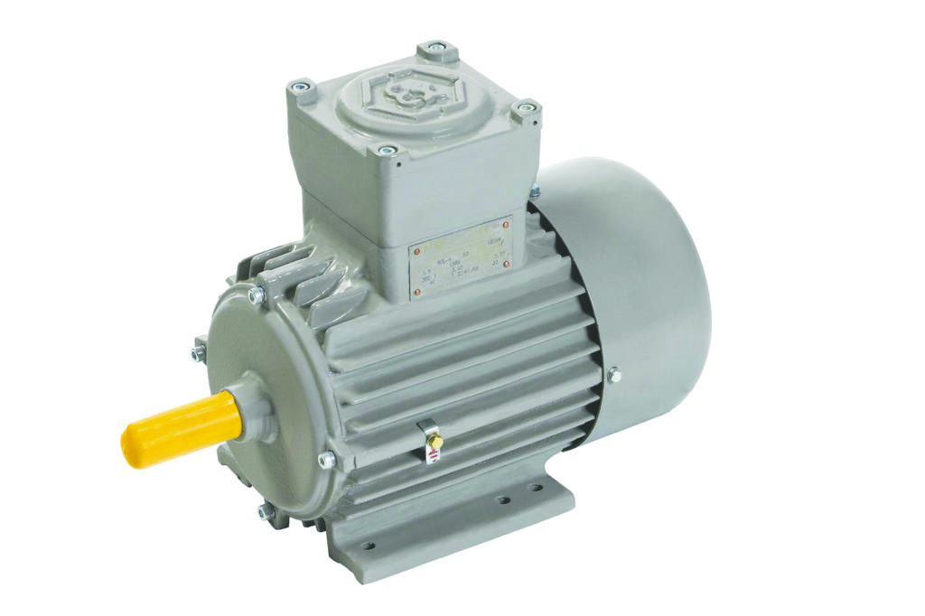 atex motor